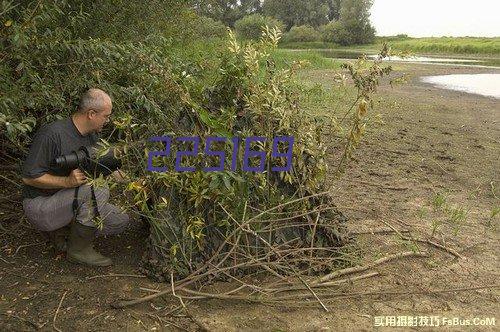 第十届中国花卉博览会花博园景观绿化、临时场馆及配套设施建设项目