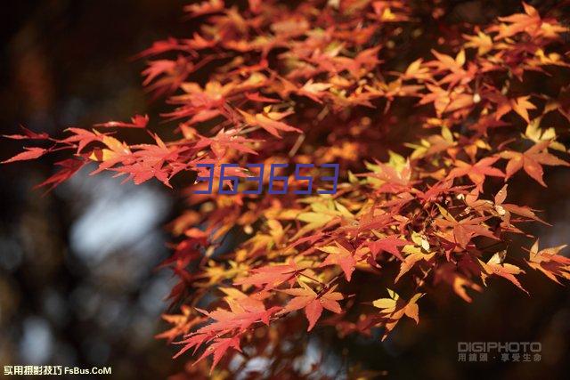 日本美女あやリる百變Cos圖賞 絲襪泳裝勾勒身材