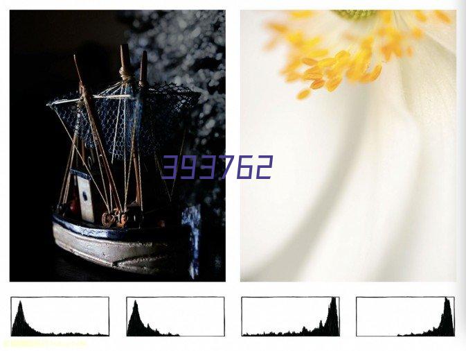 网站首页标题描述100个字中应该包含这些内容