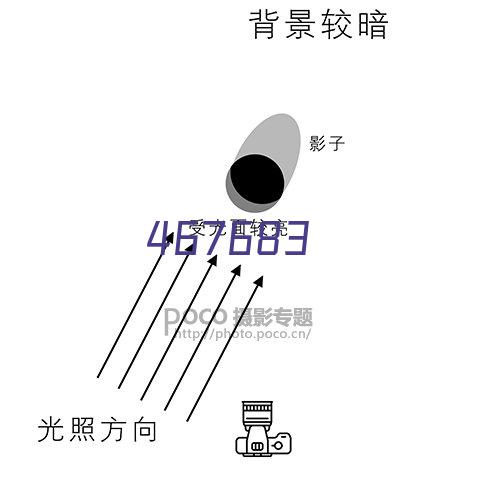 政府与公共事业