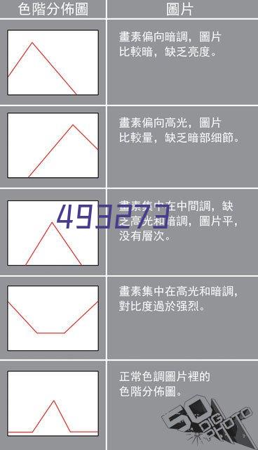 推动“数字孪生”城市建设｜《广州市数字政府改革建设“十四五”规划的通知》