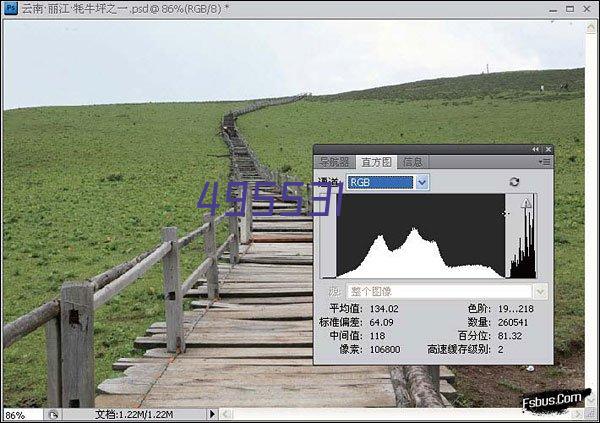 成都PVC防静电地板的特点和优势