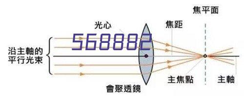 彩色柔韧性防水