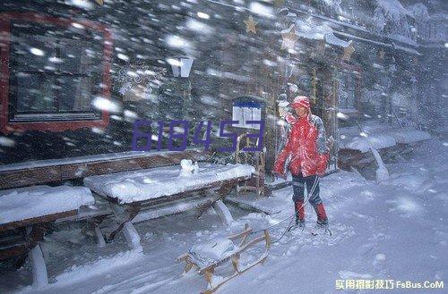 伊利集团网站建设