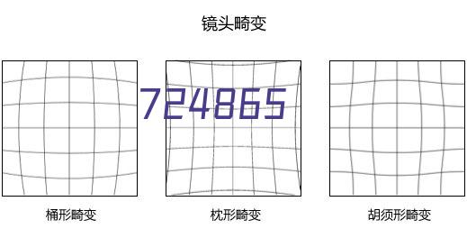 大轮滑网推荐：大学生成人轮滑鞋(平花鞋)品牌款式推荐