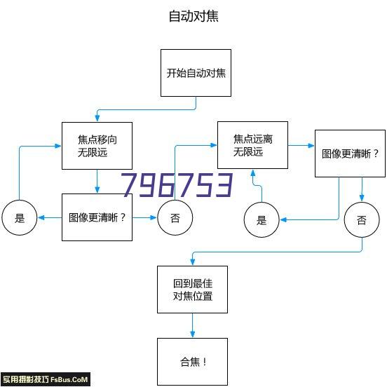  维基百科