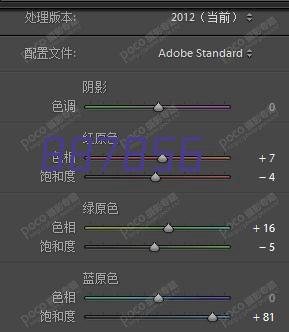 付款成功