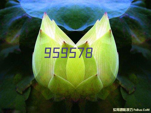 8810